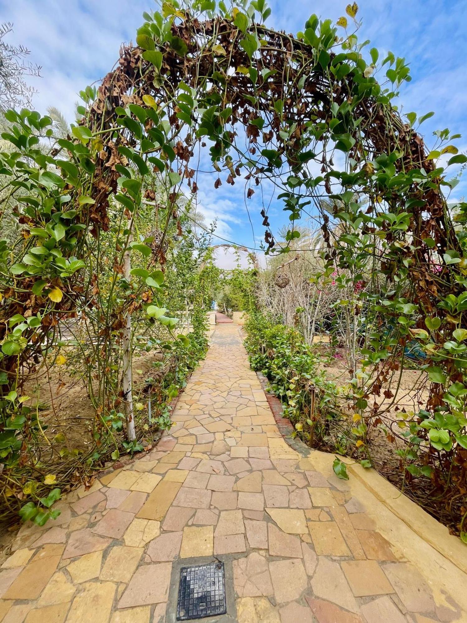 Panta Lodge Siwa بنتا لودج سيوة Siwa Oasis Exterior foto